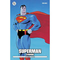 Dc Pocket Superman: Stagioni