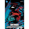 Batman: Il Cavaliere Oscuro Colpisce Ancora - DC Pocket collection
