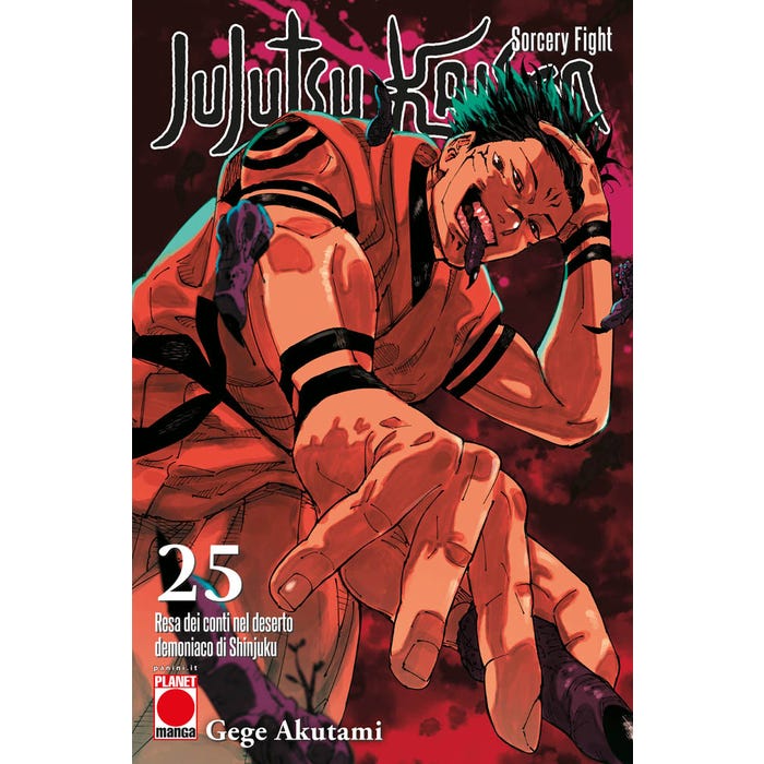 Jujutsu kaisen 25