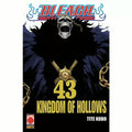 Bleach 43