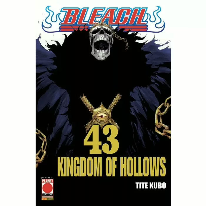 Bleach 43