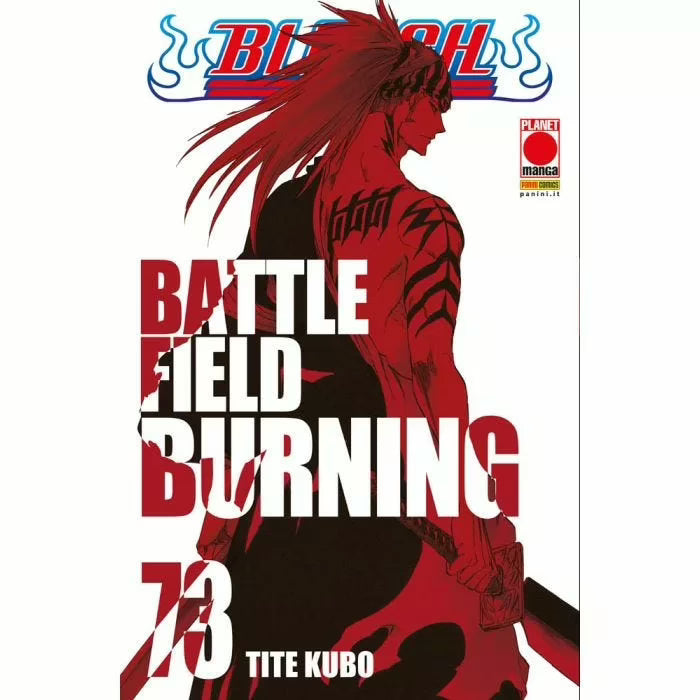 Bleach 73