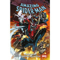 Amazing Spiderman Ultimi resti l'ordine della tela