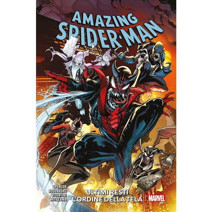 Amazing Spiderman Ultimi resti l'ordine della tela