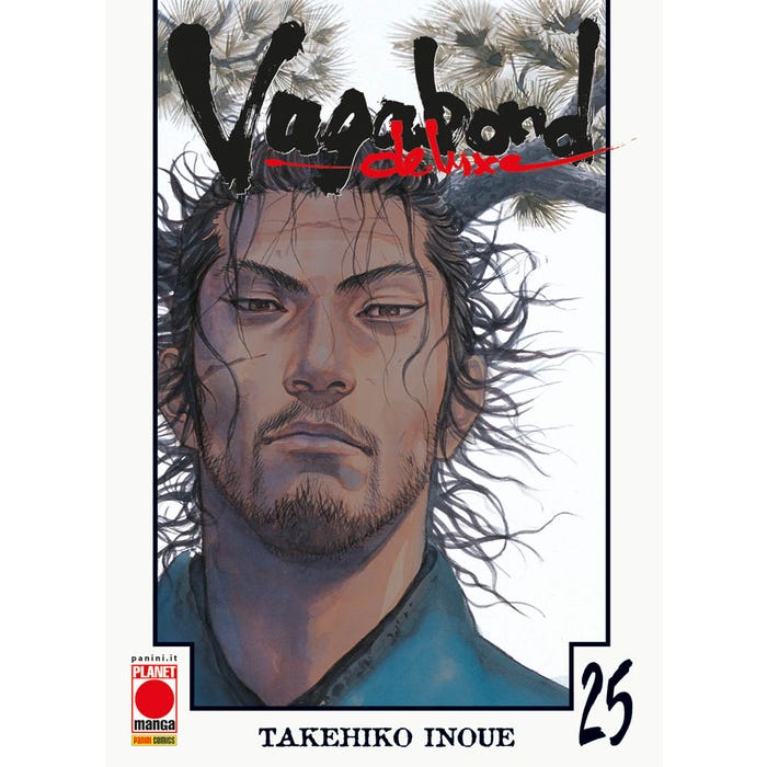 Vagabond 25