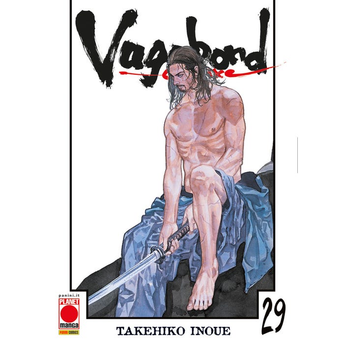 Vagabond 29