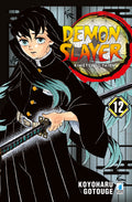 Demon slayer 12