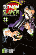 Demon slayer 13