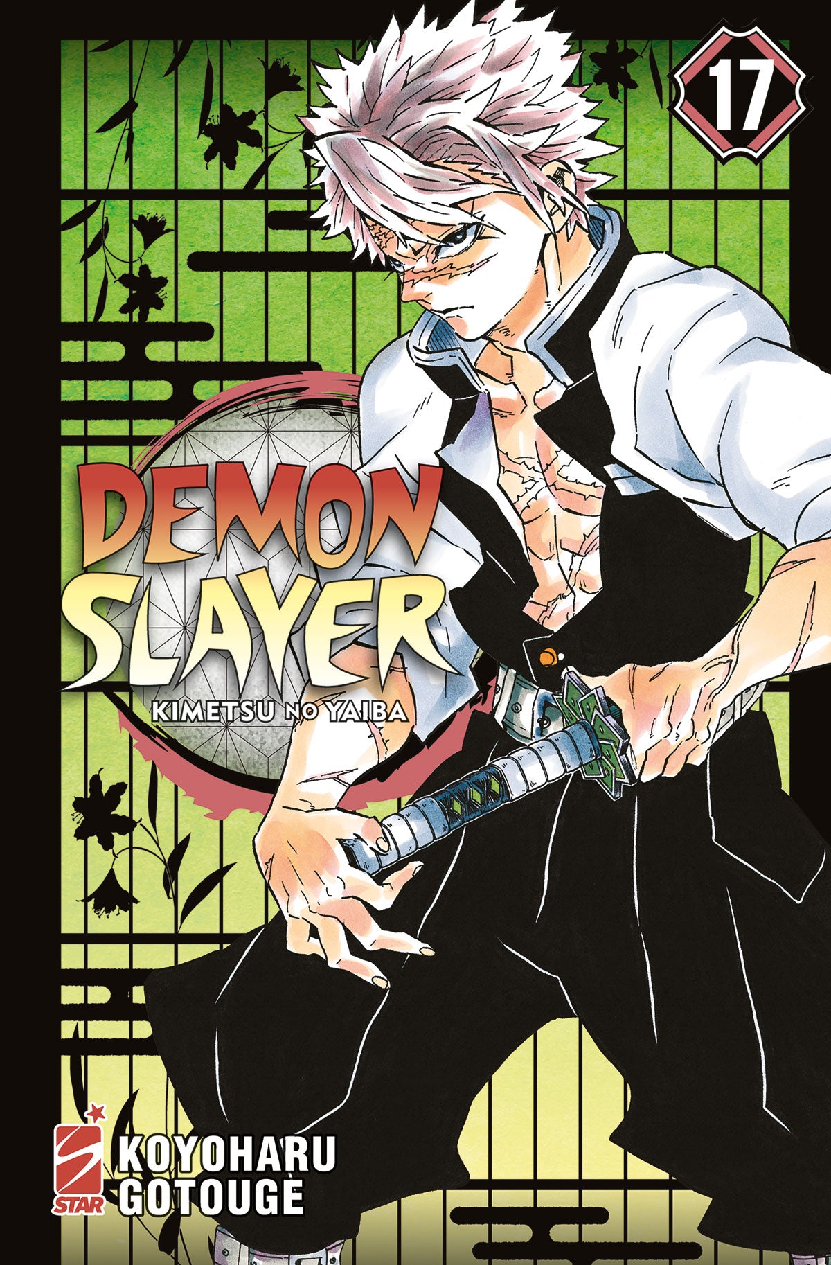 Demon slayer 17
