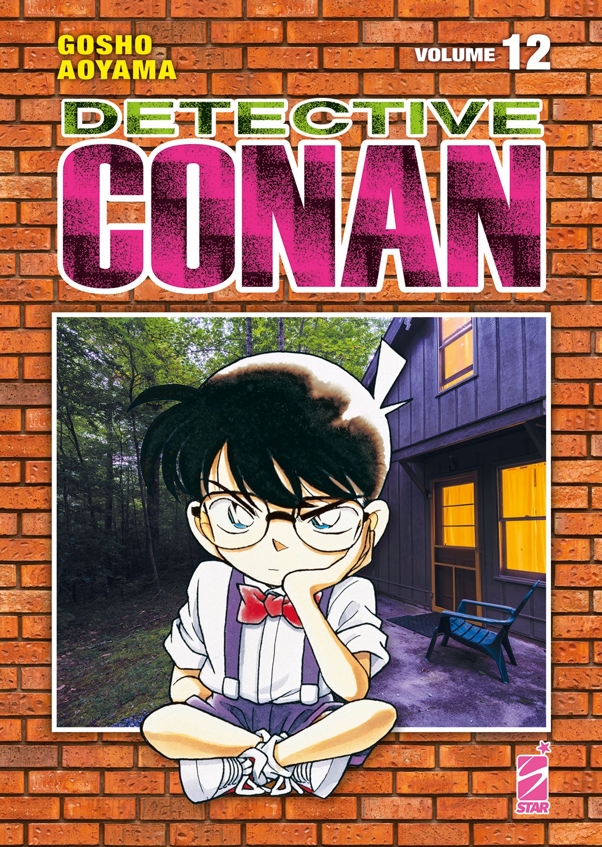 Detective Conan 12