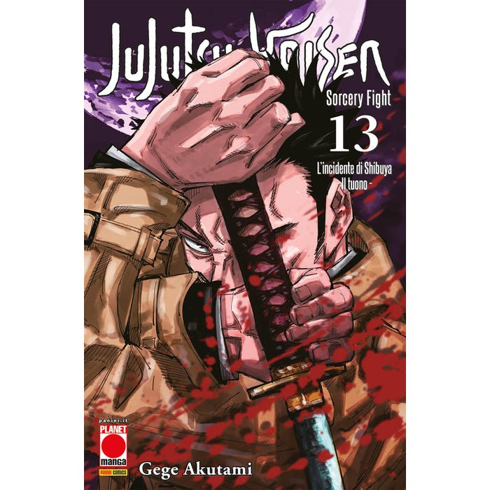 Jujutsu kaisen 13