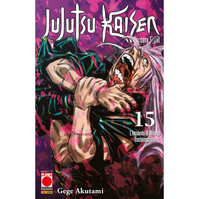 Jujutsu kaisen 15