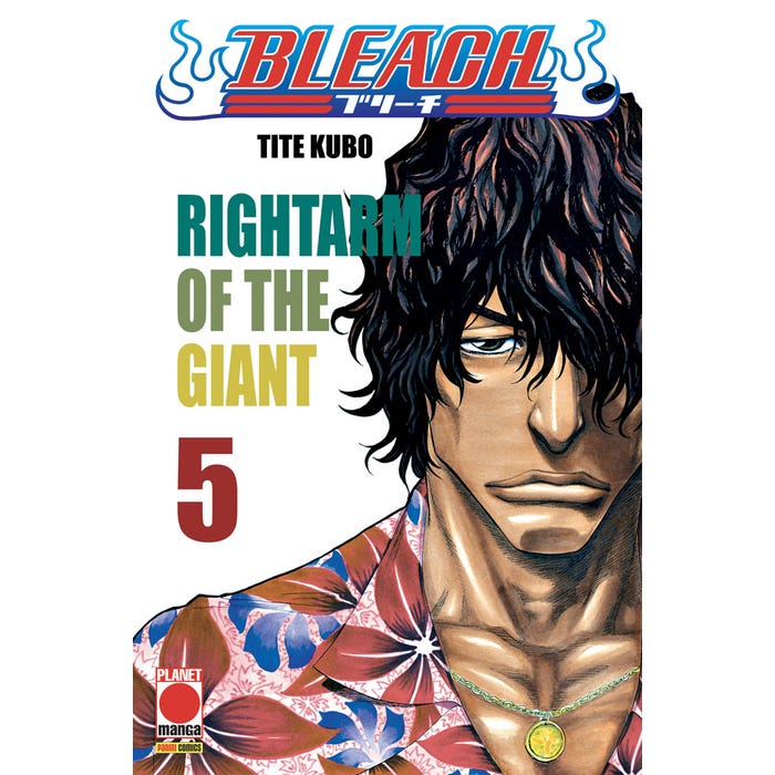Bleach 5